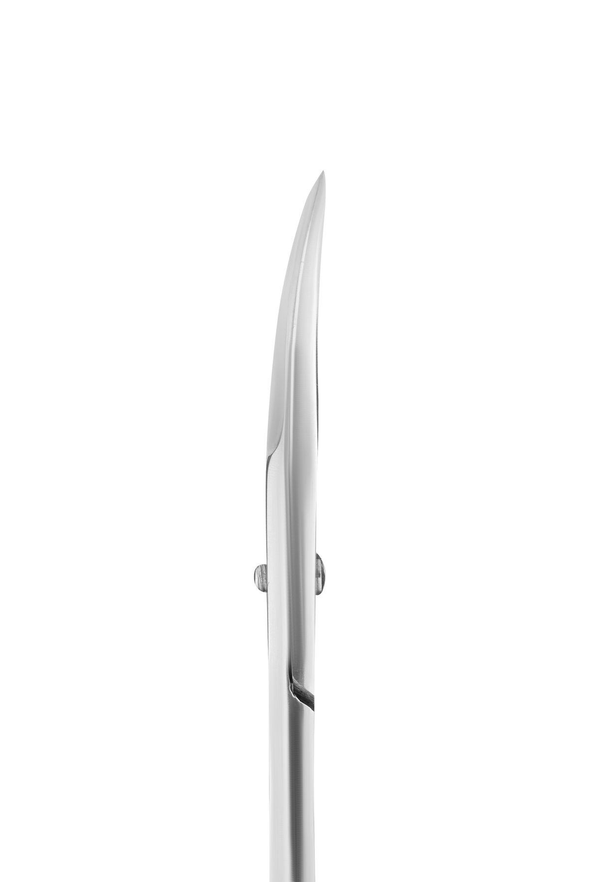 STALEKS SC-61/2 – blade detail