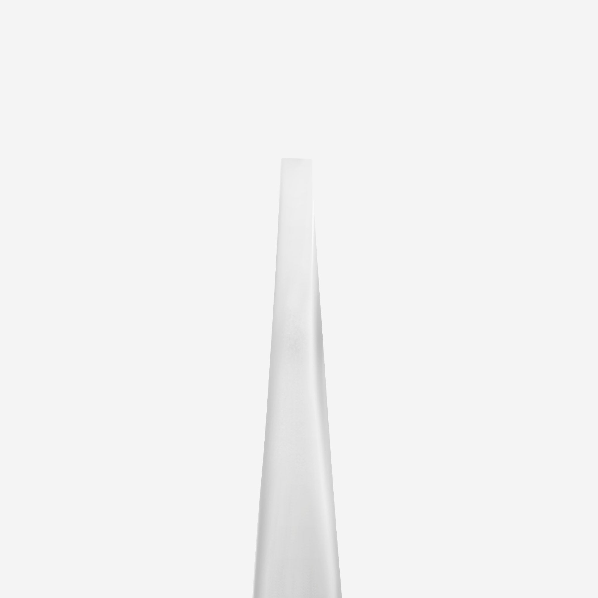 TE-10/2 Eyebrow tweezers Staleks Pro Expert image 2
