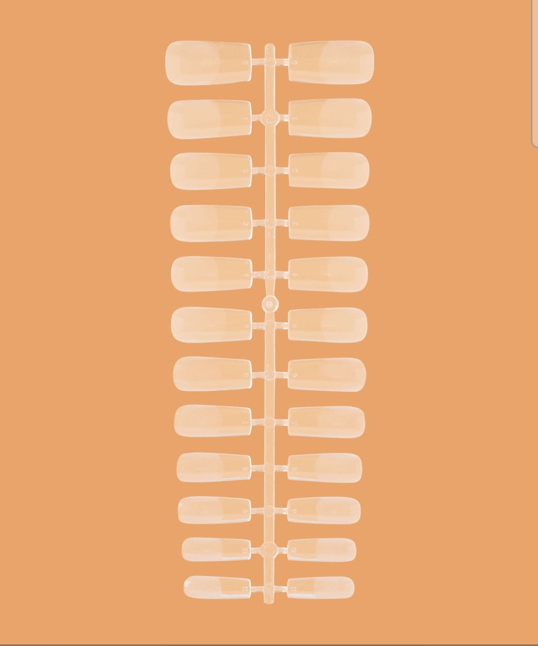 Gel tips for nail extension Square,  240 pcs/pack image 1