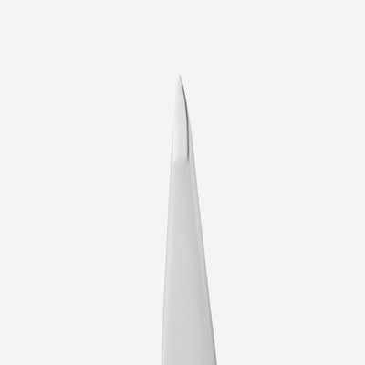TE-10/5 Eyebrow tweezers Staleks Pro Expert 10 Type 5
