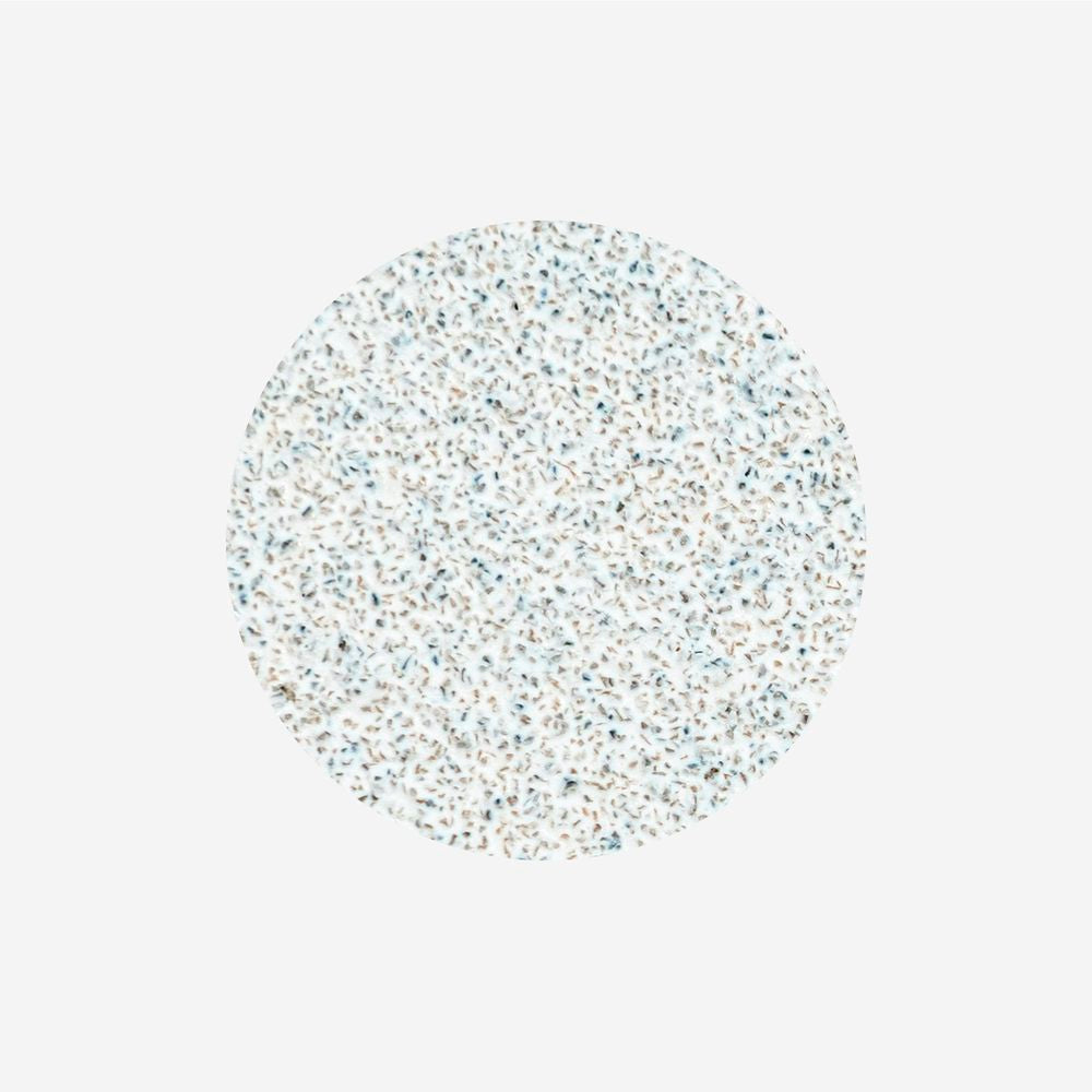 Disposable white files on soft foam layer for pedicure disc PODODISC L EXPERT 80 grit (50 pcs)