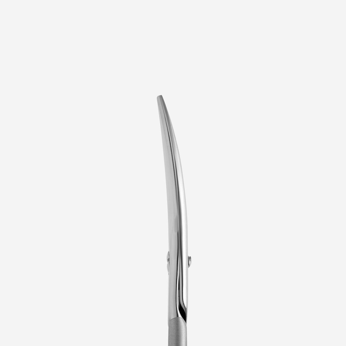 STALEKS SS-30/1 — blade detail